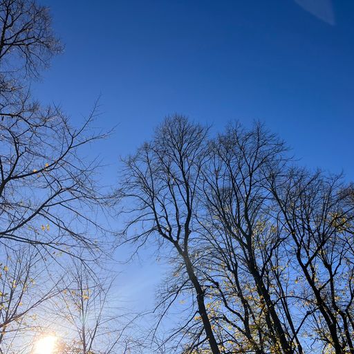 Be More Well - 25/11/23 [Voices Radio]