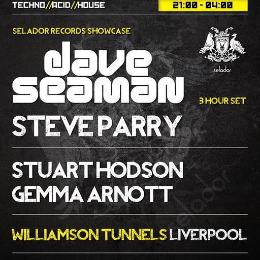 Steve Parry live at 303 (Selador Records Party), Williamson Tunnels, Liverpool 23-11-13