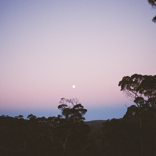 Sui Zhen - 27th January 2025