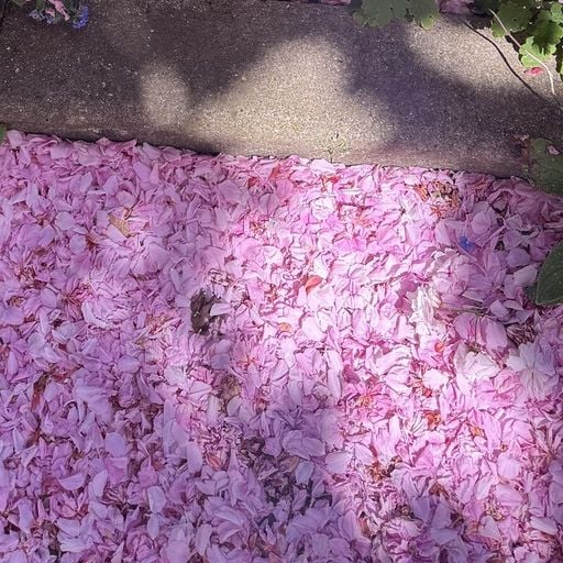 m00dtapes - 26th April 2026