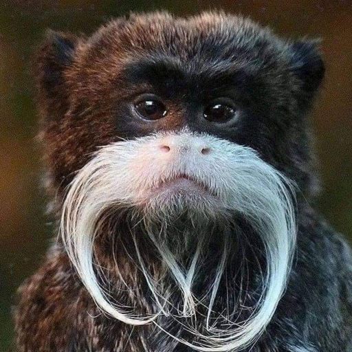 Steve Lewis House session recorded wednesday 2nd October 2024