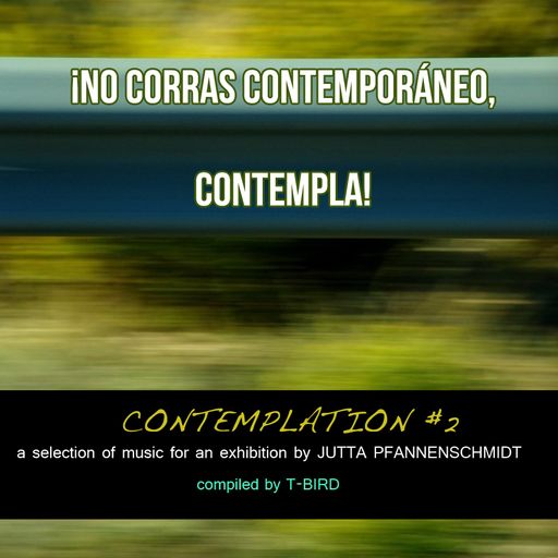 Contemplation #2