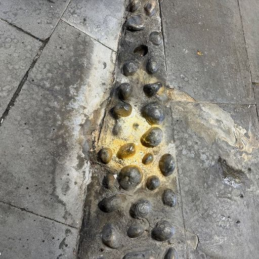 The Trilogy Tapes - 8th December 2025