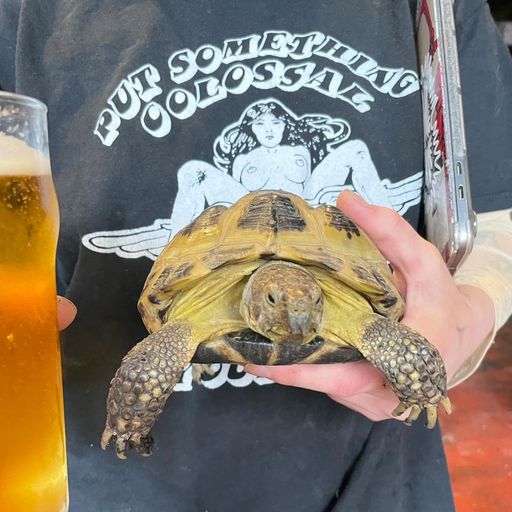 Han Solo Ft. Eric - September 2023