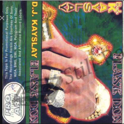 DJ Kay Slay - The Last Don (1998)