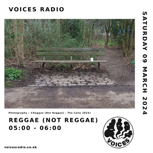 Reggae (Not Reggae) - 09/03/24 [Voices Radio]