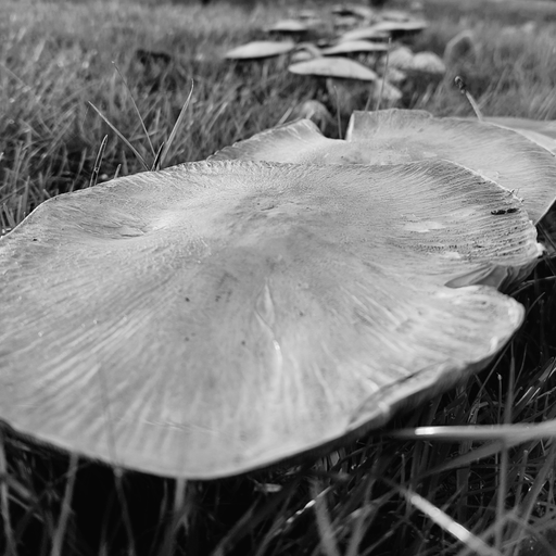 Saturday sessions (05/10/24)