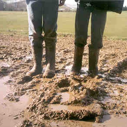 New Zealand Music Show 25/11