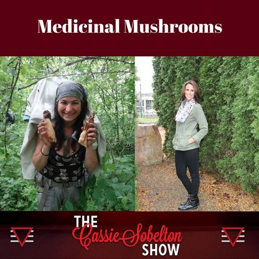 The Cassie Sobelton Show: Medicinal Mushrooms