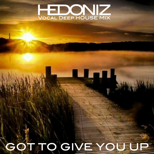 Got To Give You Up