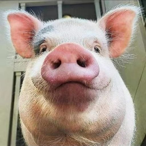 Pump It●Tokyo Drift●Rise Bounce●四块五●多想在平庸的生活擁抱你●NonStop Just For  金順滿 BY DJ_SKY Remix 2o19