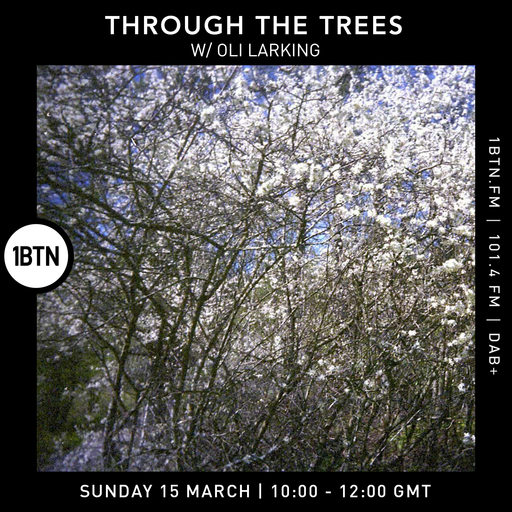 Through The Tree's w/ Oli Larking - 15.03.26