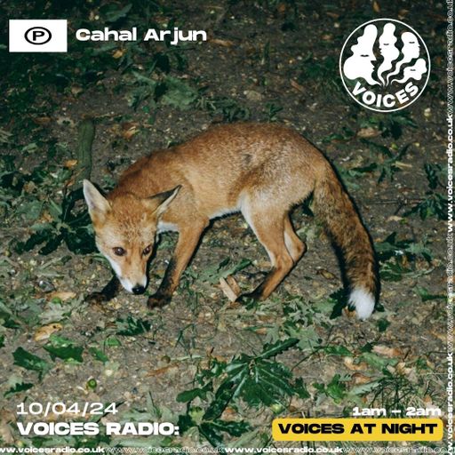 Cahal Arjun 09/04/24 - [Voices Radio]