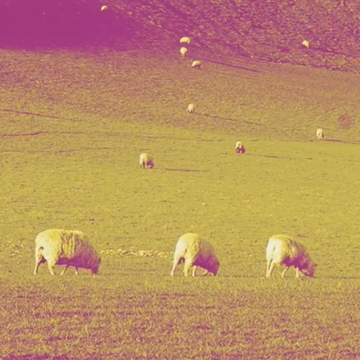 The Chill Out Tent - SheepWatch (2nd Birthday Edition)