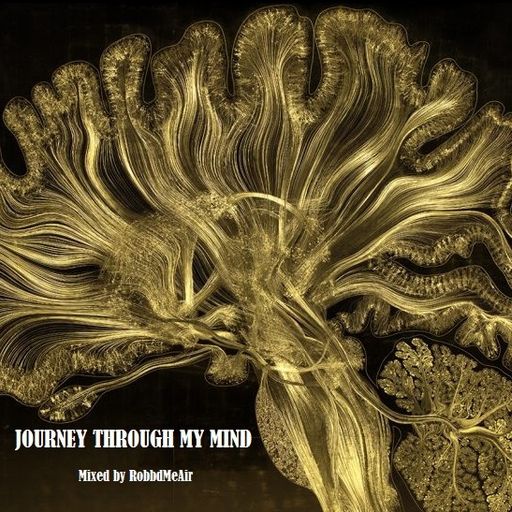 Journey Through My Mind