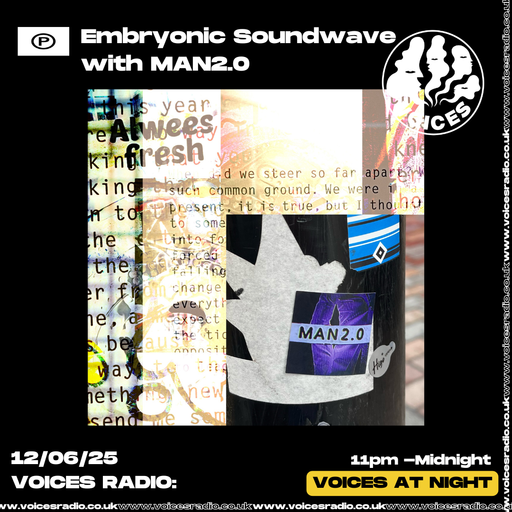 Embryonic Soundwave - 13/06/2025 [Voices Radio]