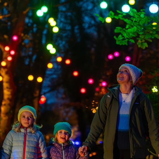 David Harland, Heligan Night Garden (13/11/25)