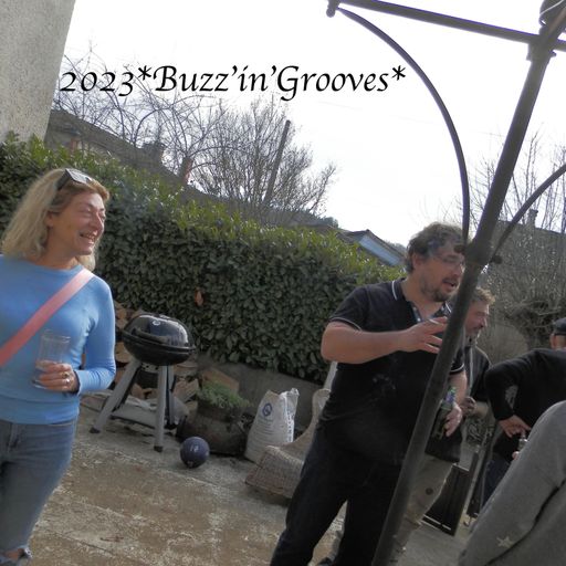 2023 Buzz'in'Grooves