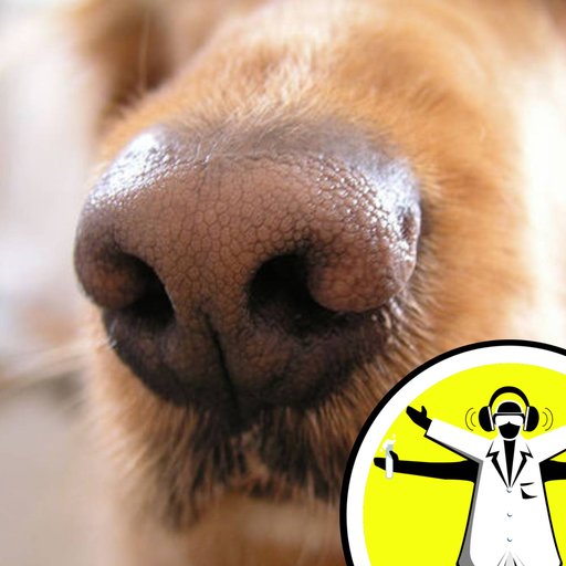 Sniff! Sniff!