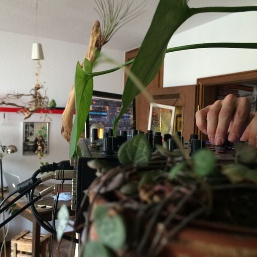 WORLDBEATS by Nails Davis: Baumbuden