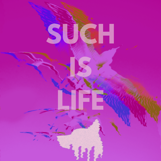 Such is Life...