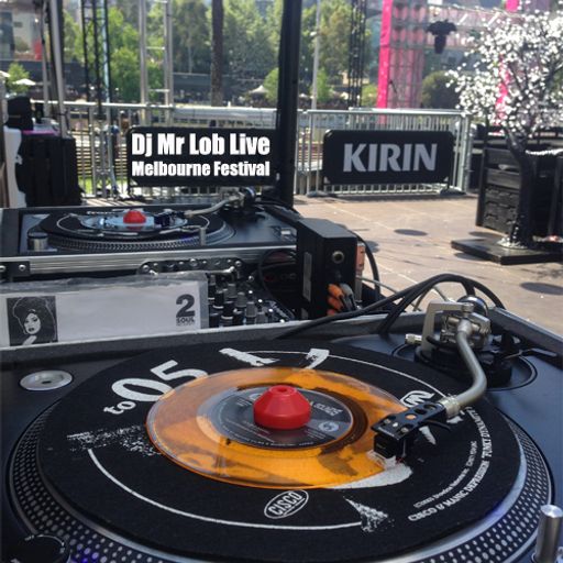 Dj Mr Lob Live @ Melbourne Festival Part 1
