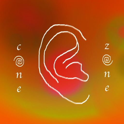 CONE ZONE NO. 13 W/ CAT