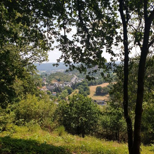 ...le matin du mercredi 11 décembre