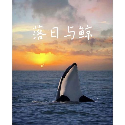 DJ‘KC 【135BPM‘咚咚咚‘】落日与鲸●雪藏●日不落●罗曼蒂克爱情●你是我的风景● Proghouse M!X 2K24！