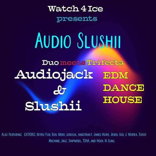 Audio Slushii