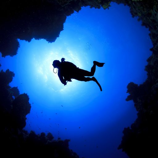 DEEP DIVE
