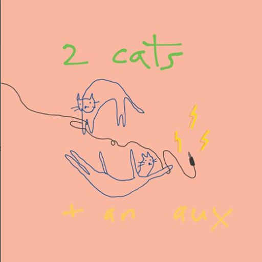 Two Cats and an Aux