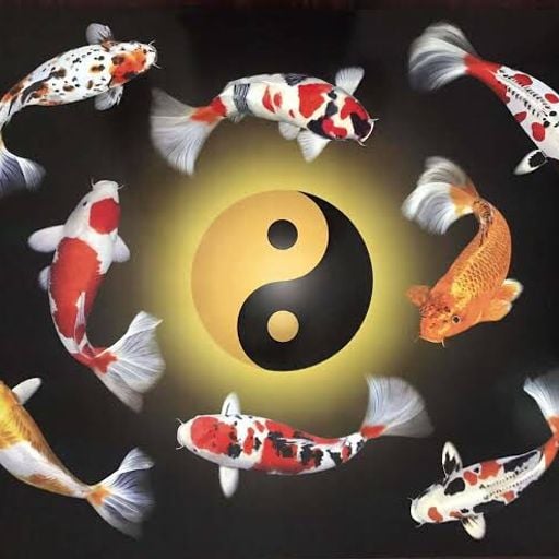 ครอบครัวปลาคราฟ