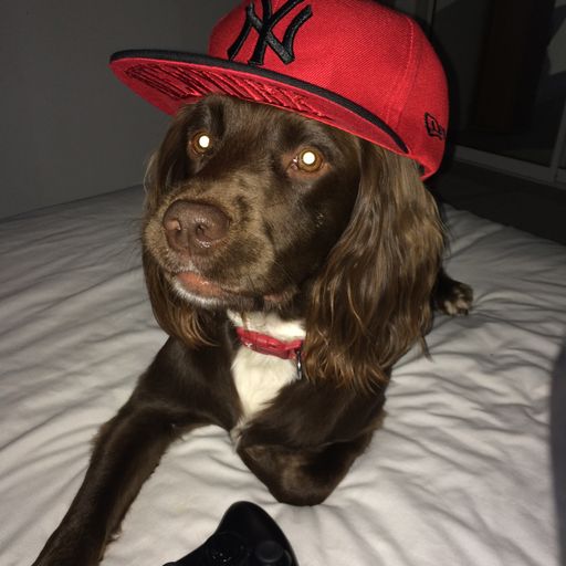 DJ Midlife - 4 The Music Exclusive - 4TM Midlife Episode 1