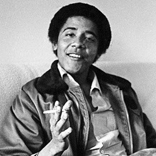 A Tokers Delight Vol.28