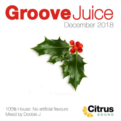 Groove Juice Hollyberry - December 2018
