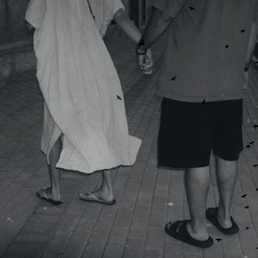 Observer w/ Vamegh - 29th December 2025