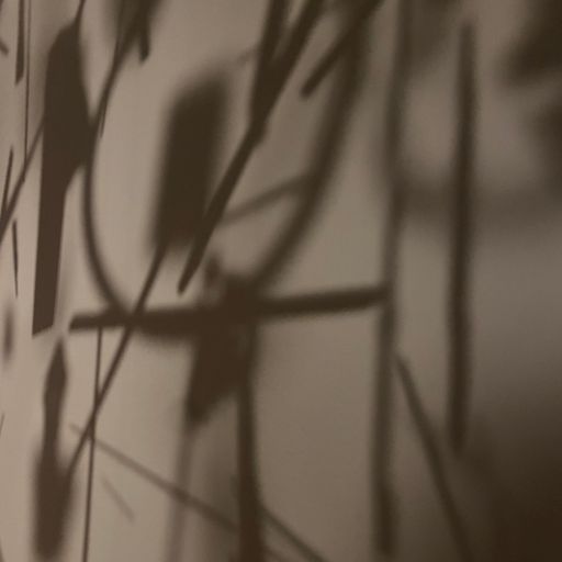 Nu-language - 28/10/22