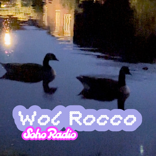 Wol Rocco (11/12/2025)
