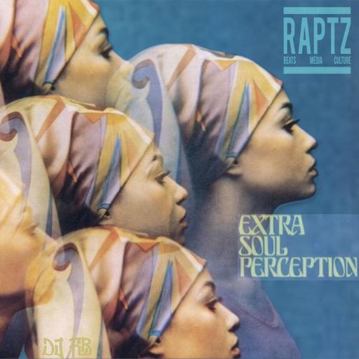 EXTRA SOUL PERCEPTION 6 ~ DJ FIB