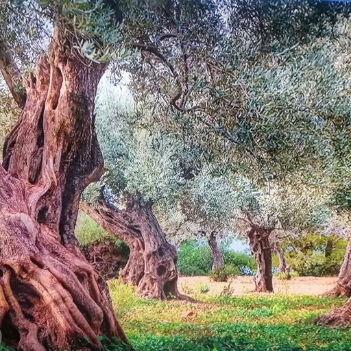 DREADheadz DUB & Reggae & more 10, LONGLOVE vom 30.4.2024