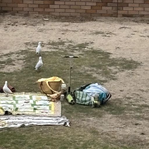 Nosedrip - 22nd December 2025