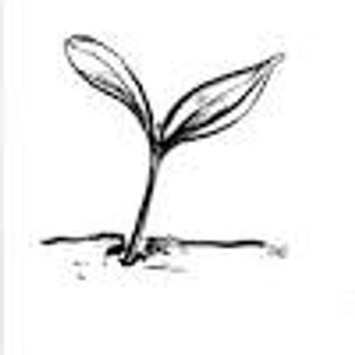 world peave volume two