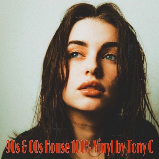 90s & 00s House 100% Vinyl Vol.40  3/8/25