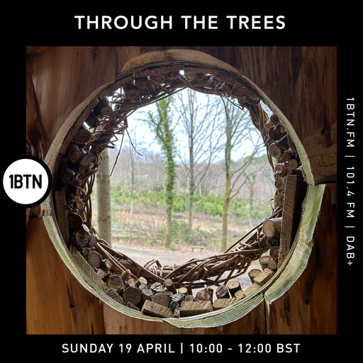 Through The Tree's w/ Ty - 19.04.26