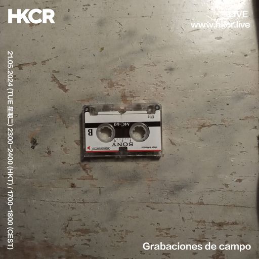 Grabaciones de campo - 21/05/2024