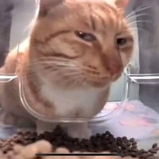 มะแอ๊ะ-I Melbourne you<3