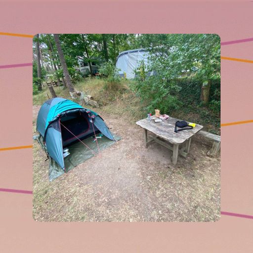 Sleepytime Tea [Sleepaway Camp] 25.08.2024