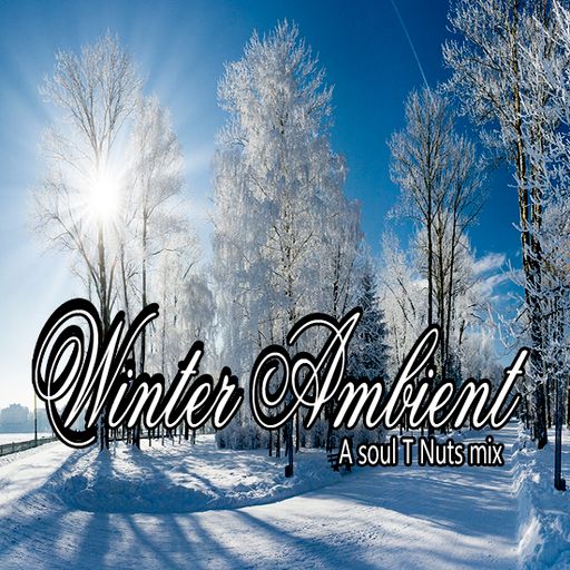 Winter Ambient