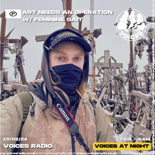 Art Needs an Operation w/ Feminine Gait - 19/02/24 - Voices Radio